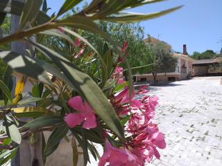 Villa Giorgia - Noto Marina - 5