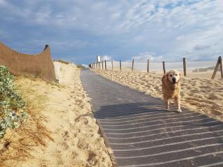 Loft atypique en bord de plage - Capbreton - 5