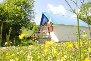 Lake House - Šavnik - 7