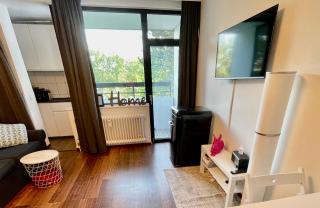Messeapartment Wöhrder See - Nuremberg - 7