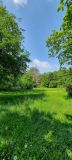 Maison grand jardin 8 personnes - 1