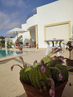 Chambres d'hôtes Conviviales avec piscine privée Chambre Blue Lagune & Suite Azur - Djerba - 4