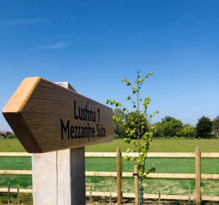 Lushna 1 Mezzanine at Lee Wick Farm Cottages & Glamping - 1
