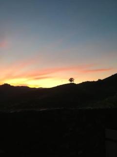 Quinta do Enxertado - Vila Real - 3