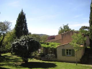 Les Gites du Merle - Cogolin - 7