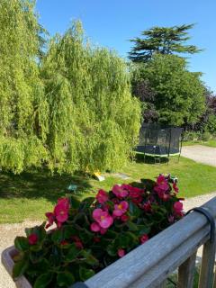Gîte Les Mariniers - 3 étoiles - Bain nordique en option - Mareuil-sur-Cher - 5