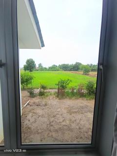 Bella Homestay Perlis - Arau - 8