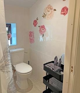 Foxy View in Dingle Town! - 2