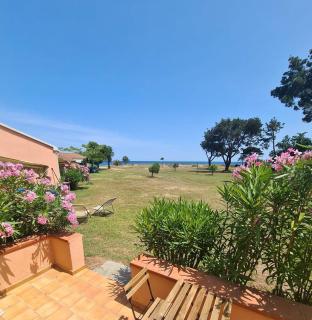 Pinea Mare - 7
