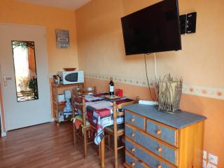 APPARTEMENT DE 24 M2 à BARBOTAN-Minimum 21 nuits-CLIMATISé #VACANCES#CURE--lac et piscine à 1 km - Cazaubon - 7