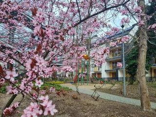 visit baltic - Rezydencja Sienkiewicza Apartamenty Superior z 2-sypialniami - Świnoujście - 4