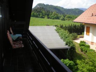 Apartments Janjusevic - Bled - 2