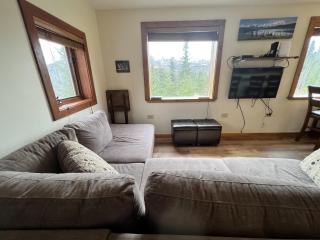 Denali Park View House - Healy - 3