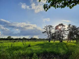 Pipowagen 't Strunerke - 6