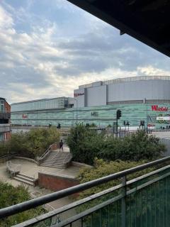 Spacious 1 Bedroom rental unit in West London - 4