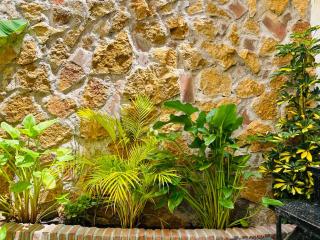 Clemens9 Premium - Málaga - 4