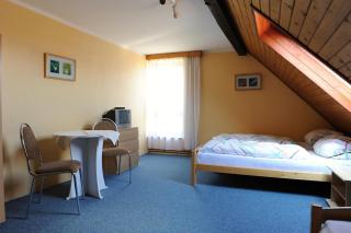 Penzion Alpina Liberec - Liberec - 5