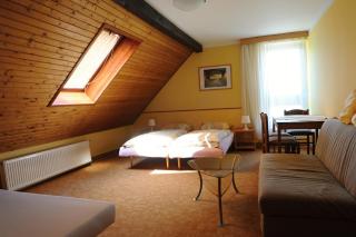 Penzion Alpina Liberec - Liberec - 6