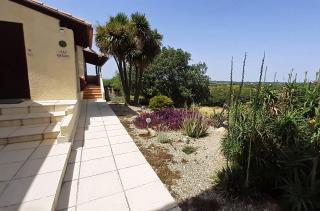 Domaine MAS NATURA 2 gites climatisation, piscine et SPA - Banyuls-dels-Aspres - 3