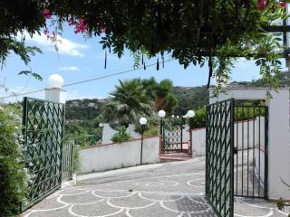 CILENTO VILLA PANORAMICA PISCINA PRIVATA 8 PERSONE - Santa Maria di Castellabate - 5