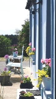 New Listing - Ladybird Cottage - Donegal - Wild Atlantic Way - 1