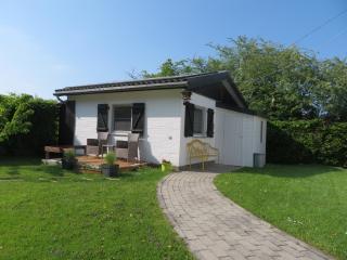 Les Renardeaux - Malmedy - 6