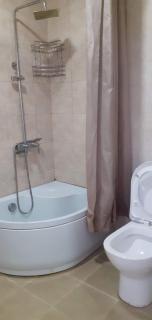 One bedroom apartment - Angisa - 2