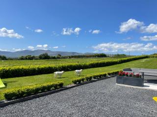 Country View House - Milltown - 6