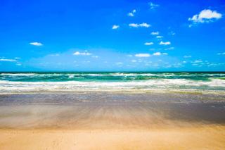 Shortboard - Holmes Beach - 0