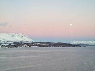 Northern lights central apartment - Harstad - 8