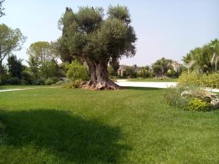 Relais Marchesi Imperiali B&b - Latiano - 3