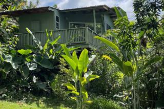 PonoMana Oasis's - Serenity Cottage - Captain Cook - 9
