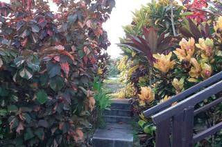 Kaye Mango Villa - Soufriere - 9
