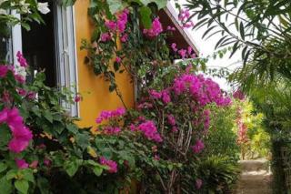 Kaye Mango Villa - Soufriere - 8
