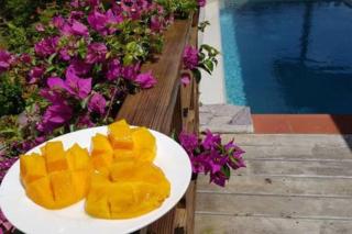 Kaye Mango Villa - Soufriere - 6