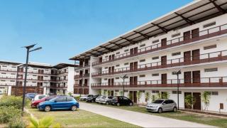 Ibis Studio - Cayenne - 2