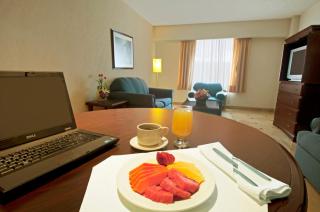 Fiesta Inn Toluca Centro - Toluca - 3