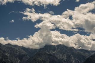 Aaruhee Homestay - Kalpa - 8