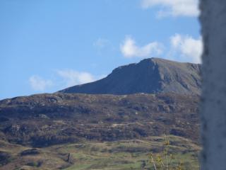 Staylittle Farm - Dolgellau - 6