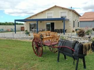 Gîte Charentais avec piscine, terrasse, et pêche - confort moderne et charme rural - FR-1-653-87 - - 0
