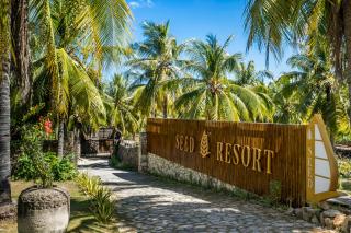 Seed Resort - 8