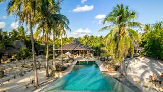 Seed Resort - 9