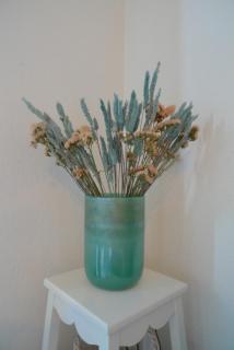 Nidu Accogliente in Balagna - 3