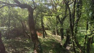 La Prairie - Noyers-sur-Jabron - 5