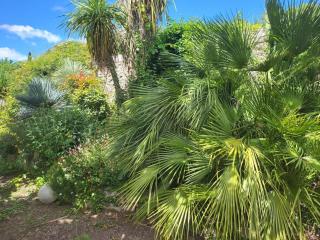 Maison verdure & calme - Castries - 6