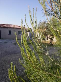 Maison du causse - 4