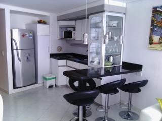 Arriendos S.H. Nuevo Conquistador - 9