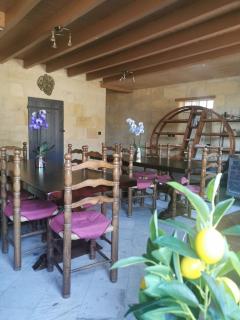 Vignobles Fabris - Saint-Émilion - 9