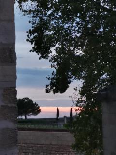 Vignobles Fabris - 3