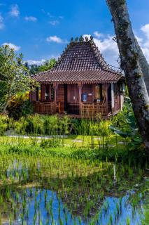 Villa Neyang - 4